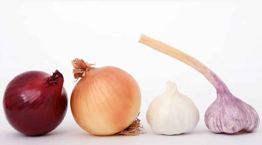 마늘양파