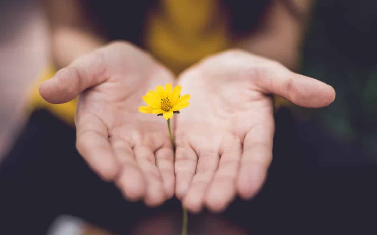 손바닥안의 꽃